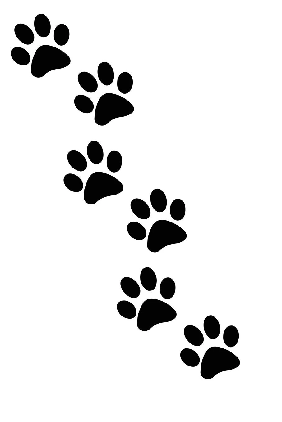 Paw Print Series