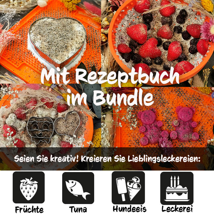 Licki Dental Bundle Buddy (6 Stück/VE)