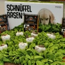 Schnüffelrasen Bundle