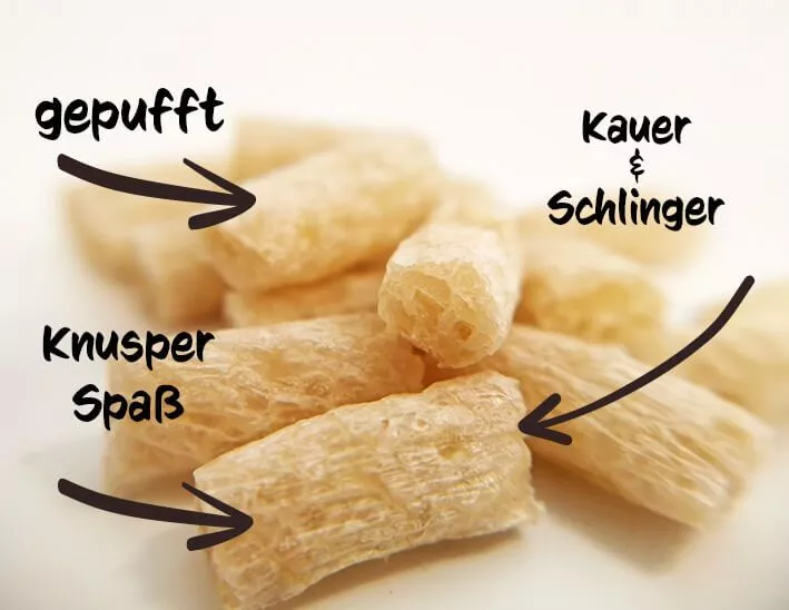 Zahnputzflips Katze (10 Stück/VE)