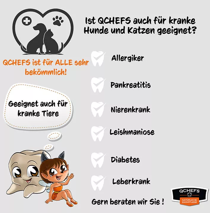 Zahnputzflips Katze (10 Stück/VE)