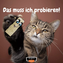 Zahnputzflips Katze (10 Stück/VE)