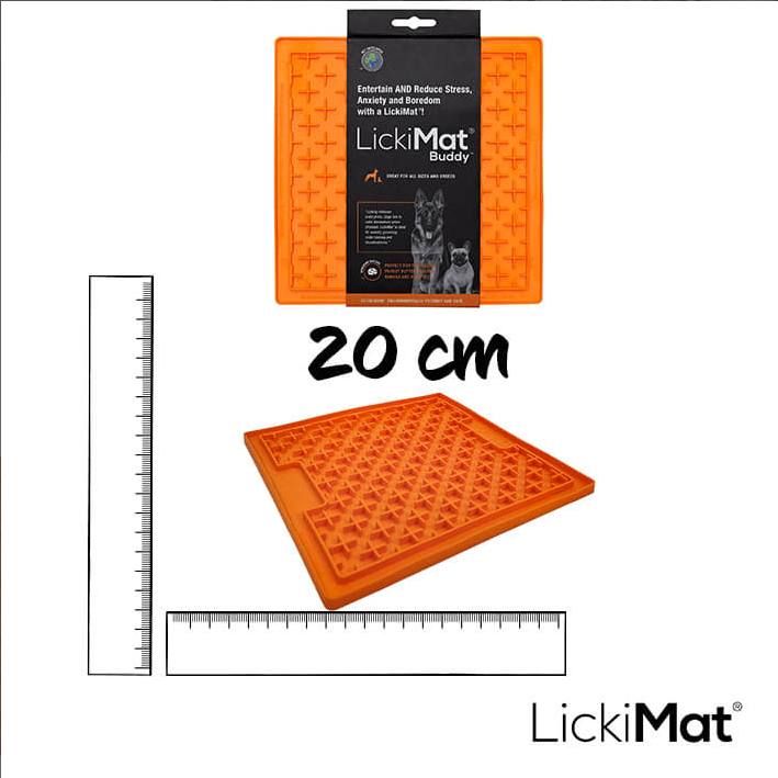 DarmDental Bundle Buddy (6 Stück/VE)
