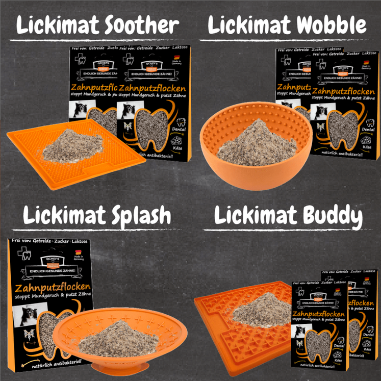 DarmDental Bundle Buddy (6 Stück/VE)
