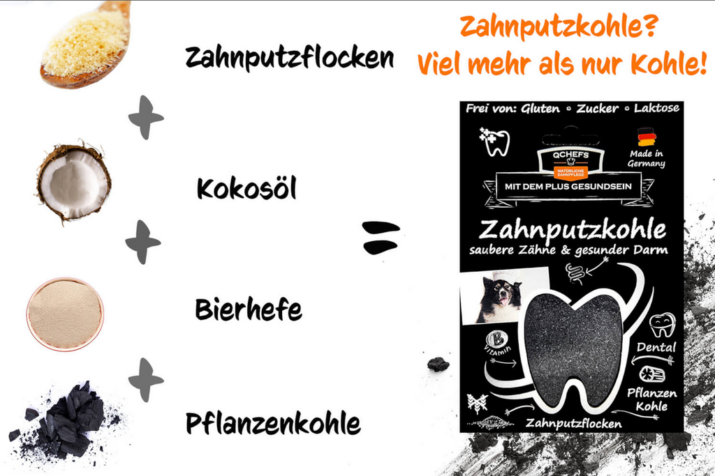 DarmDental Bundle Buddy (6 Stück/VE)