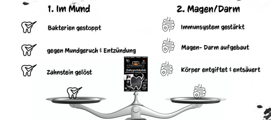DarmDental Bundle Buddy EN (6 Stück/VE)