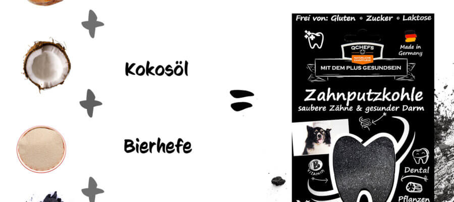 DarmDental Bundle Buddy EN (6 Stück/VE)