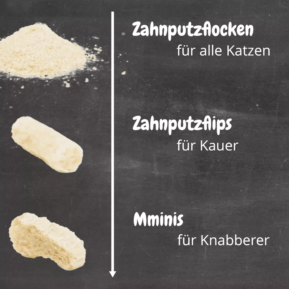 Zahnputzflips Katze (10 Stück/VE)