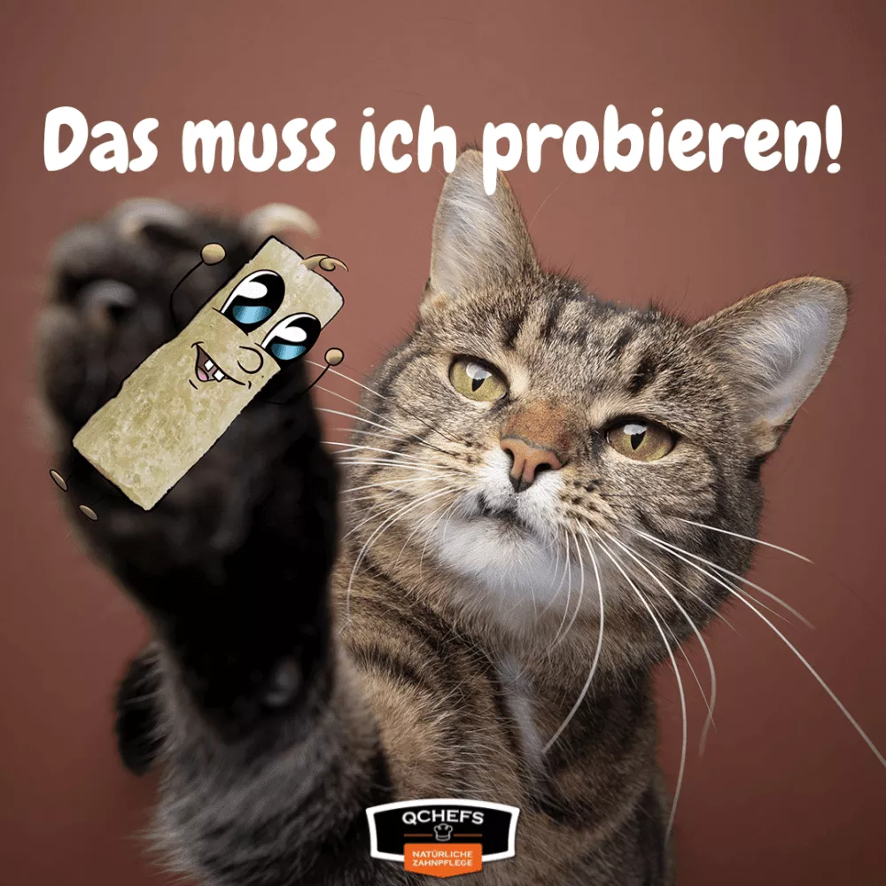 Zahnputzflips Katze (10 Stück/VE)
