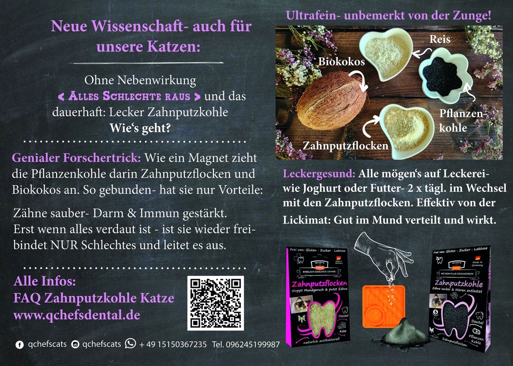 Zahnputzkohle Flyer Katze (ca. 50 Stück/VE)