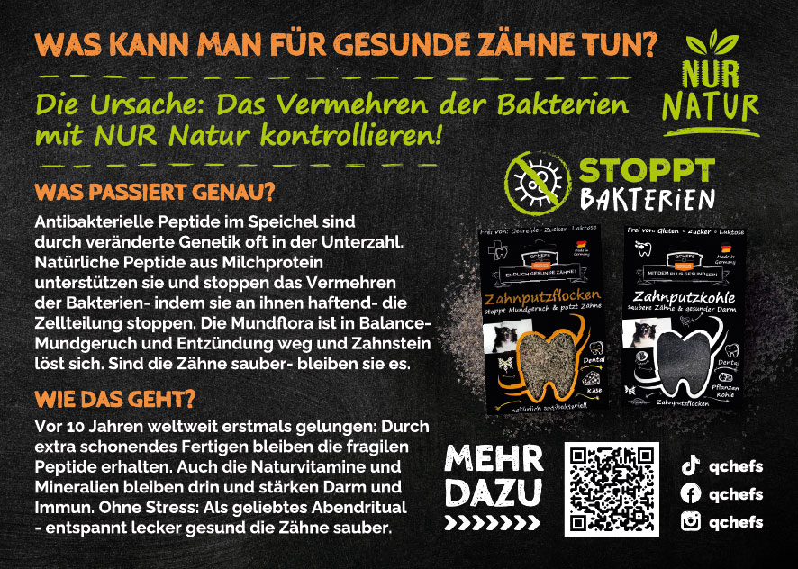Parodontitis Flyer (ca. 50 Stück/VE)