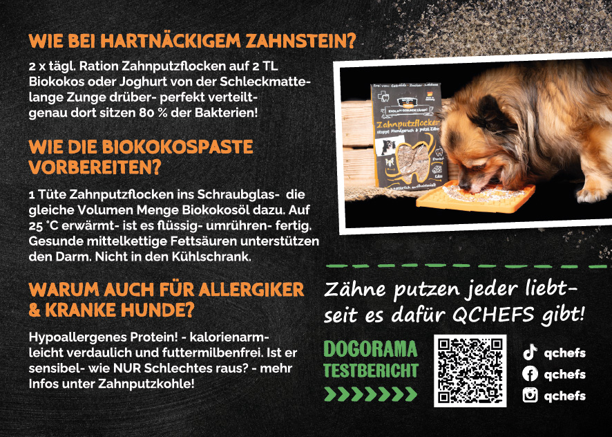Dogorama-Flyer Zahnputzflocken (ca. 50 Stück/VE)