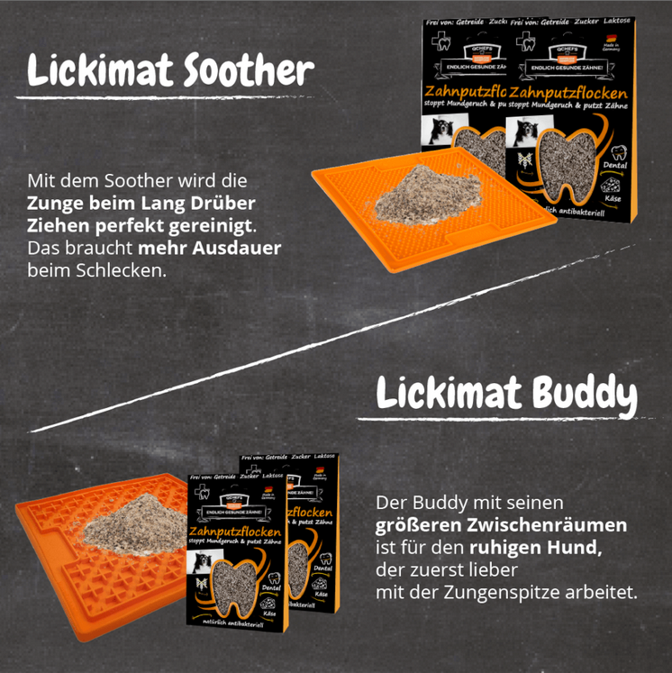DarmDental Bundle Buddy (6 Stück/VE)