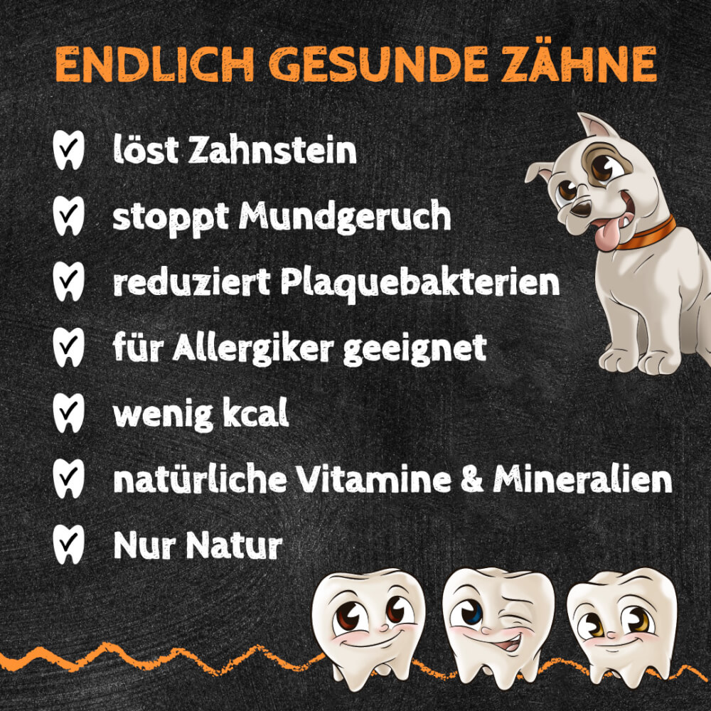 Zahnputzflips HUND (10 Stück/VE)