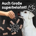 Zahnputzflips HUND (10 Stück/VE)