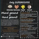 Mminis Hund (10 Stück/VE)