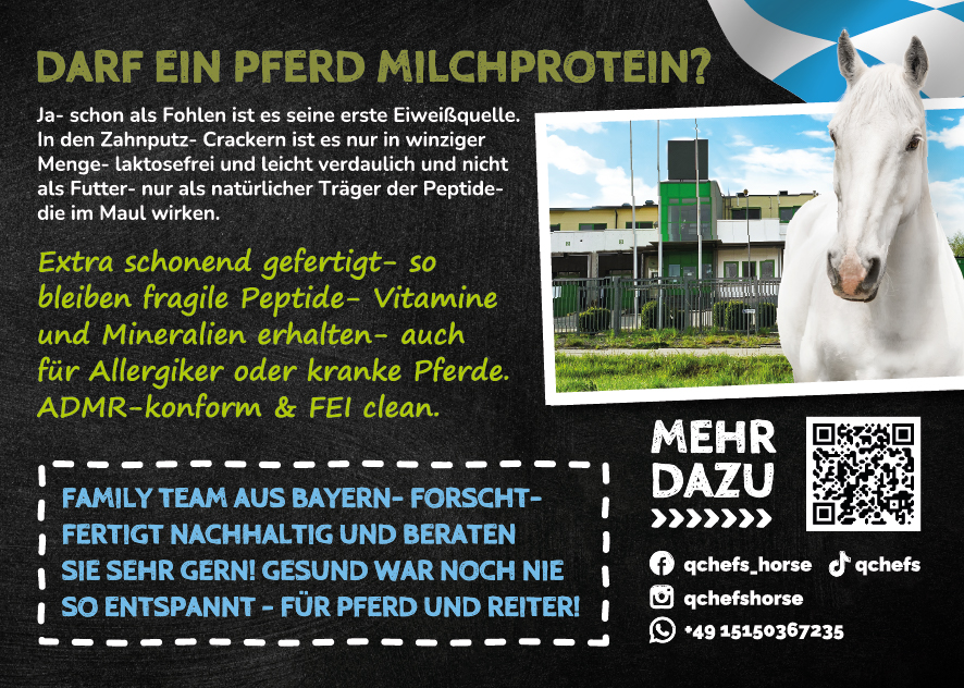 Flyer Zahnputz Cracker Pferd (ca. 50 Stück/VE)