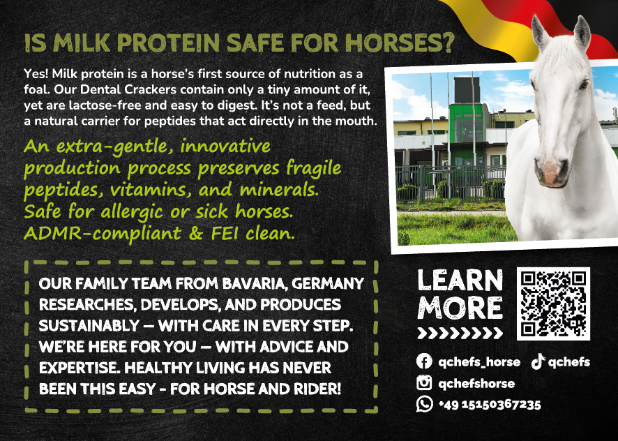 Flyer Dental Cracker Horse EN (ca. 50 Stück/VE)