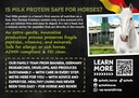 Flyer Dental Cracker Horse EN (ca. 50 Stück/VE)