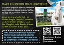 Flyer Zahnputz Cracker Pferd (ca. 50 Stück/VE)