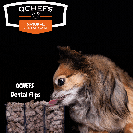 Dental Flips for dogs (20 pieces/SCU)