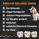 Zahnputzflips HUND (10 Stück/VE)