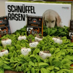 Schnüffelrasen Bundle