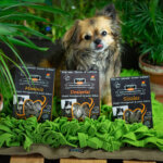 Schnüffelrasen Bundle
