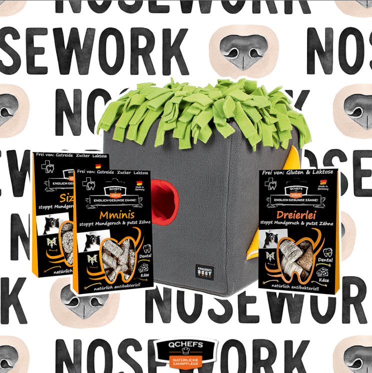 Schnüffelbox Bundle