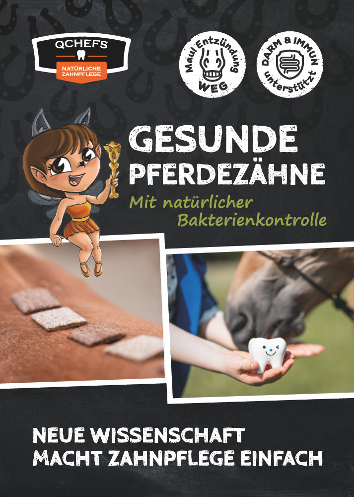 [QCM3FPG151DE] Pferdeflyer (ca. 50 Stück/VE)
