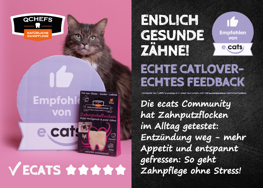 [QCM2ECA231DE] Flyer ECAT (ca. 50 Stück/VE) 