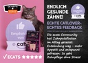 Flyer ECAT (ca. 50 Stück/VE) 