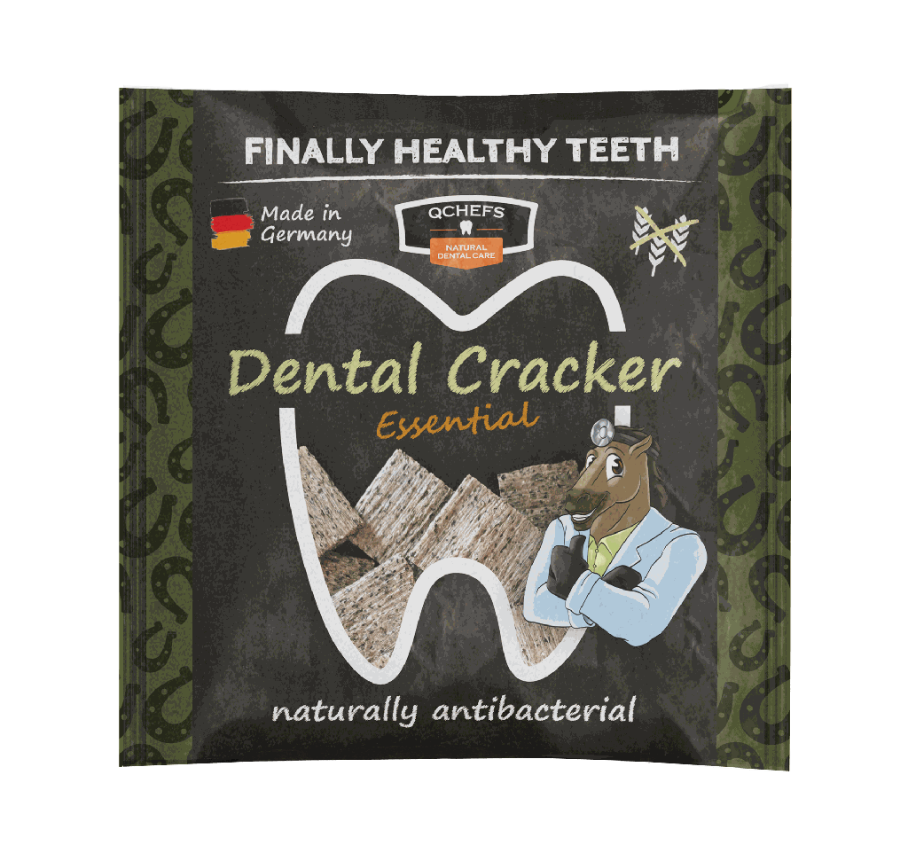 [QC3ZCB120EN] Dental Cracker Essential EN (20 Stück/VE)
