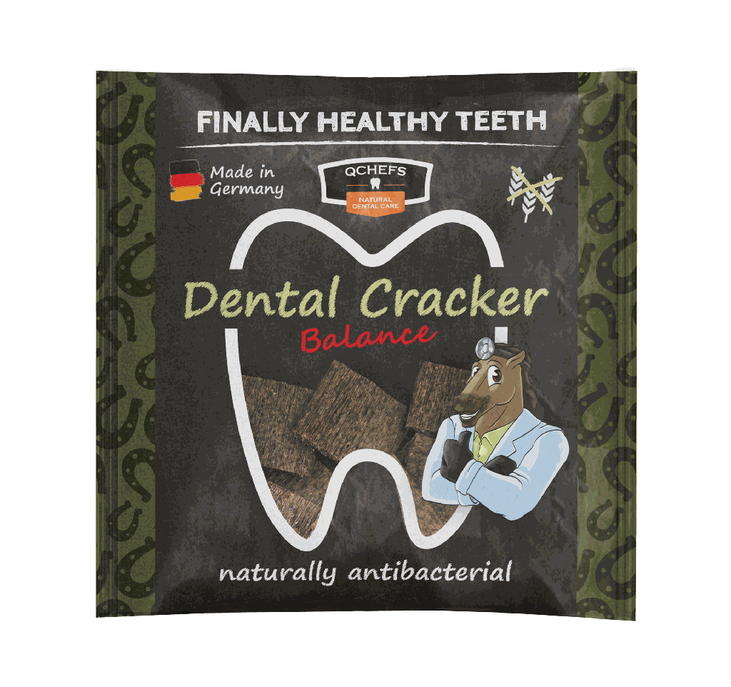 [QC3ZCJ108EN] Dental Cracker Balance EN (8 pieces/SCU)