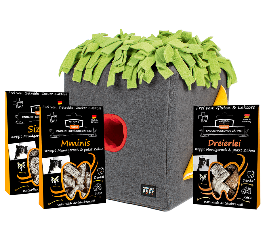 [QK1SBO101DE] Schnüffelbox Bundle