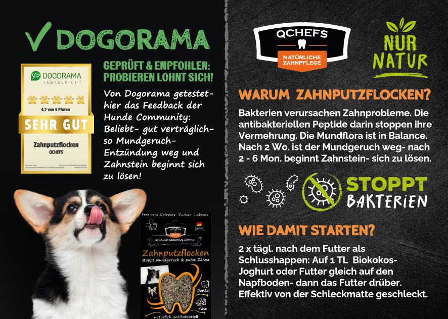 [QCM1FDF251DE] Dogorama-Flyer Zahnputzflocken (ca. 50 Stück/VE)