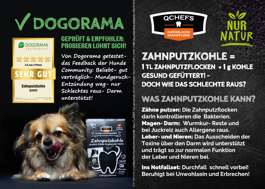 [QCM1FDK251DE] Dogorama-Flyer Zahnputzkohle (ca. 50 Stück/VE)