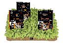 Schnüffelrasen Bundle EN