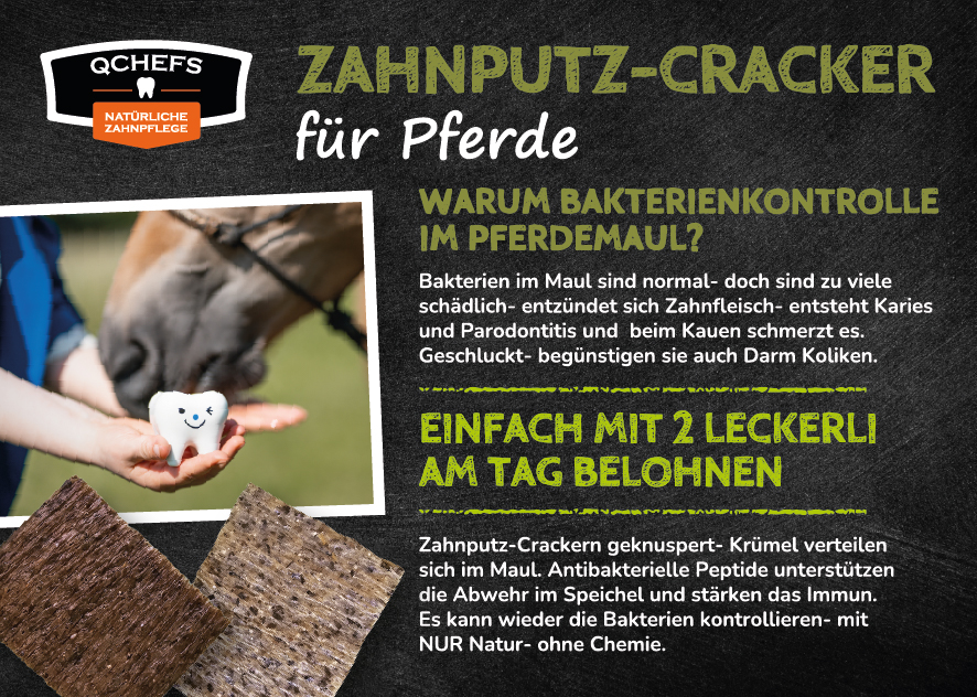[QCM3FCP151DE] Flyer Zahnputz Cracker Pferd (ca. 50 Stück/VE)