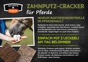 Flyer Zahnputz Cracker Pferd (ca. 50 Stück/VE)