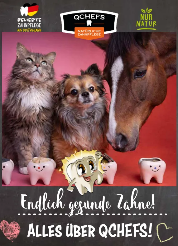 Alles über QCHEFS (30 Stück/VE)