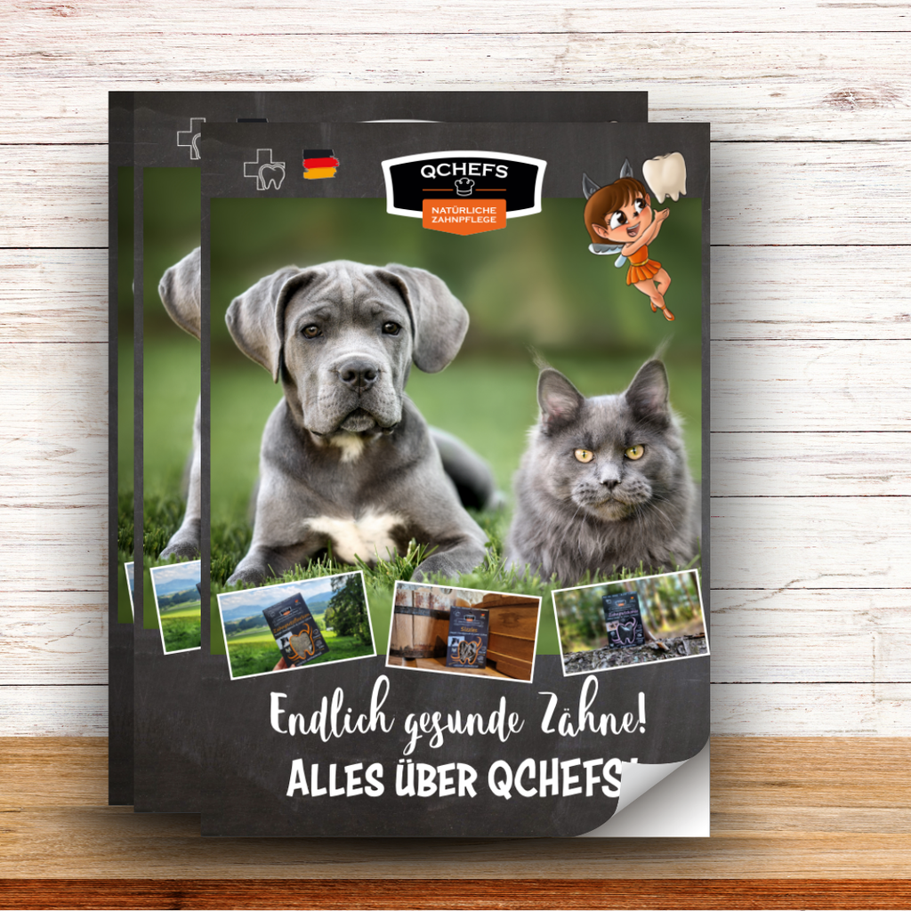 [QCM1AQH231DE] Alles über QCHEFS (30 Stück/VE)