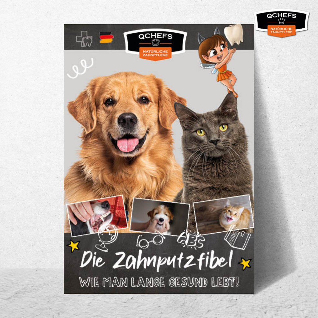 [QCM1ZFH241DE] Zahnputzfibel (30 Stück/VE)