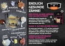 Katzenflyer (ca. 50 Stück/VE)