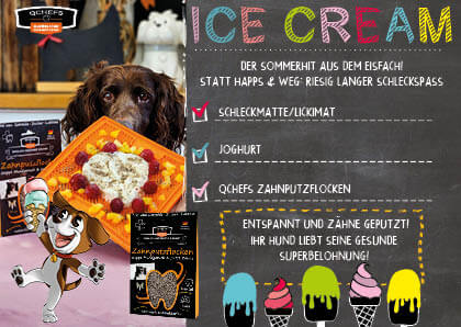 [QCM1SMF231DE] Schleckmatte Ice Cream Flyer (ca. 50 Stück/VE)