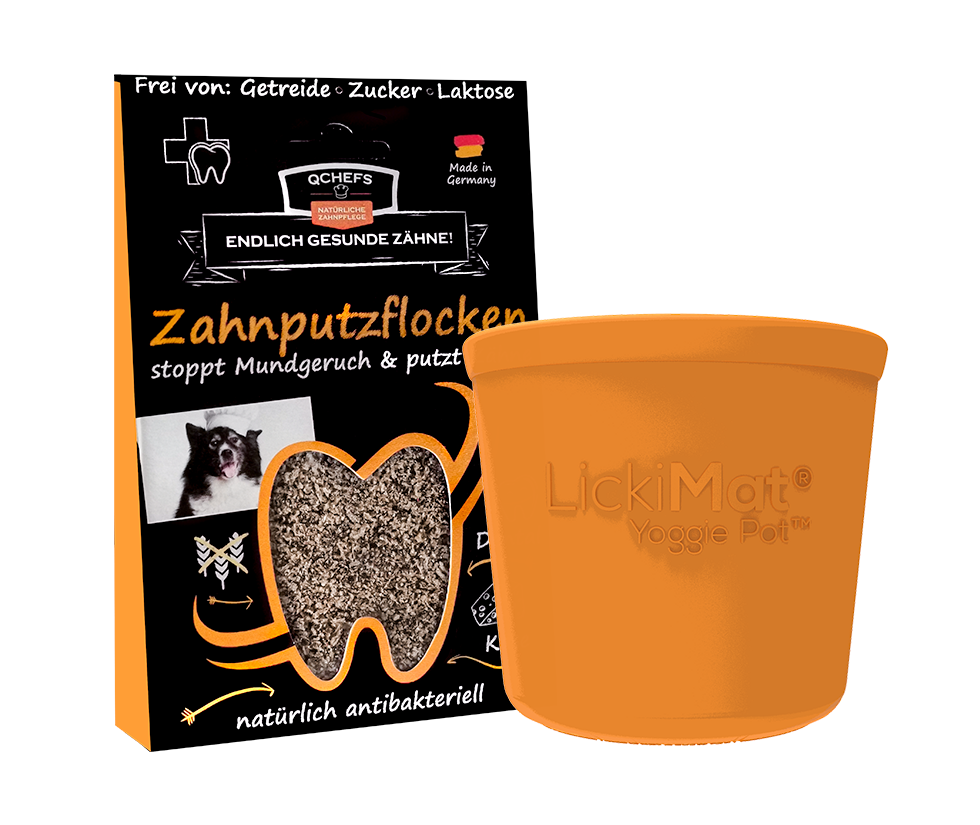 [QCL1YOG106DE] LickiDental Bundle Yoggie Pot (6 Stück/VE)