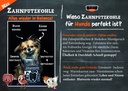Zahnputzkohle Flyer Hund (ca. 50 Stück/VE)