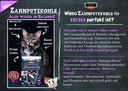 Zahnputzkohle Flyer Katze (ca. 50 Stück/VE)
