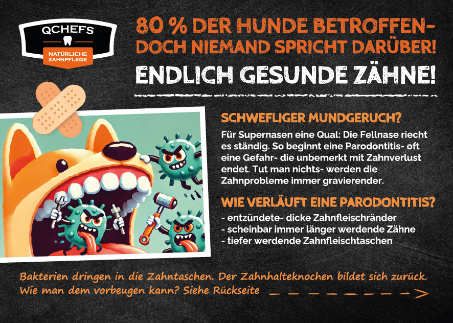 [QCM1PDF241DE] Parodontitis Flyer (ca. 50 Stück/VE)