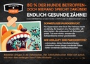 Parodontitis Flyer (ca. 50 Stück/VE)